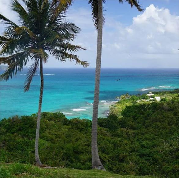 Todoblanco en Las Galeras
