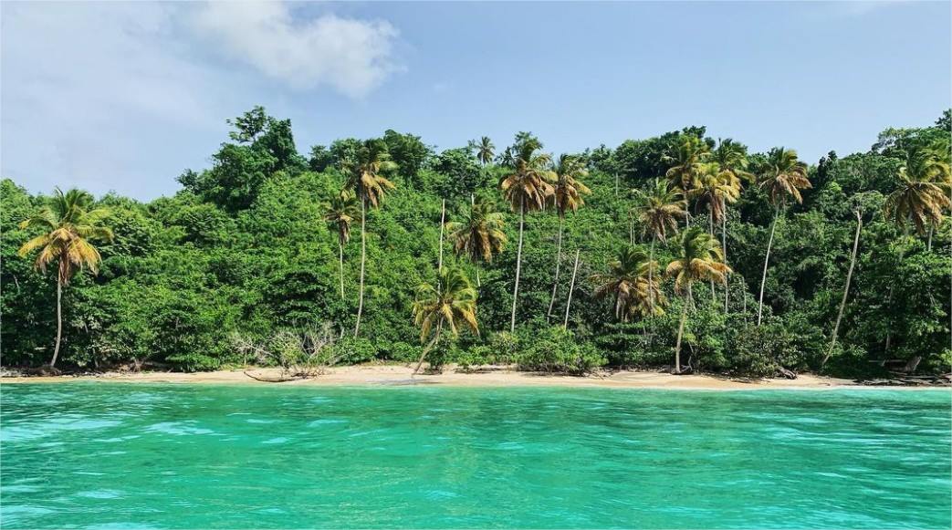 Todoblanco en Las Galeras