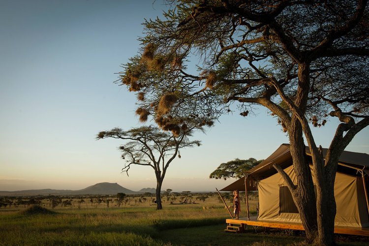Siringit Serengeti Camp en Serengeti