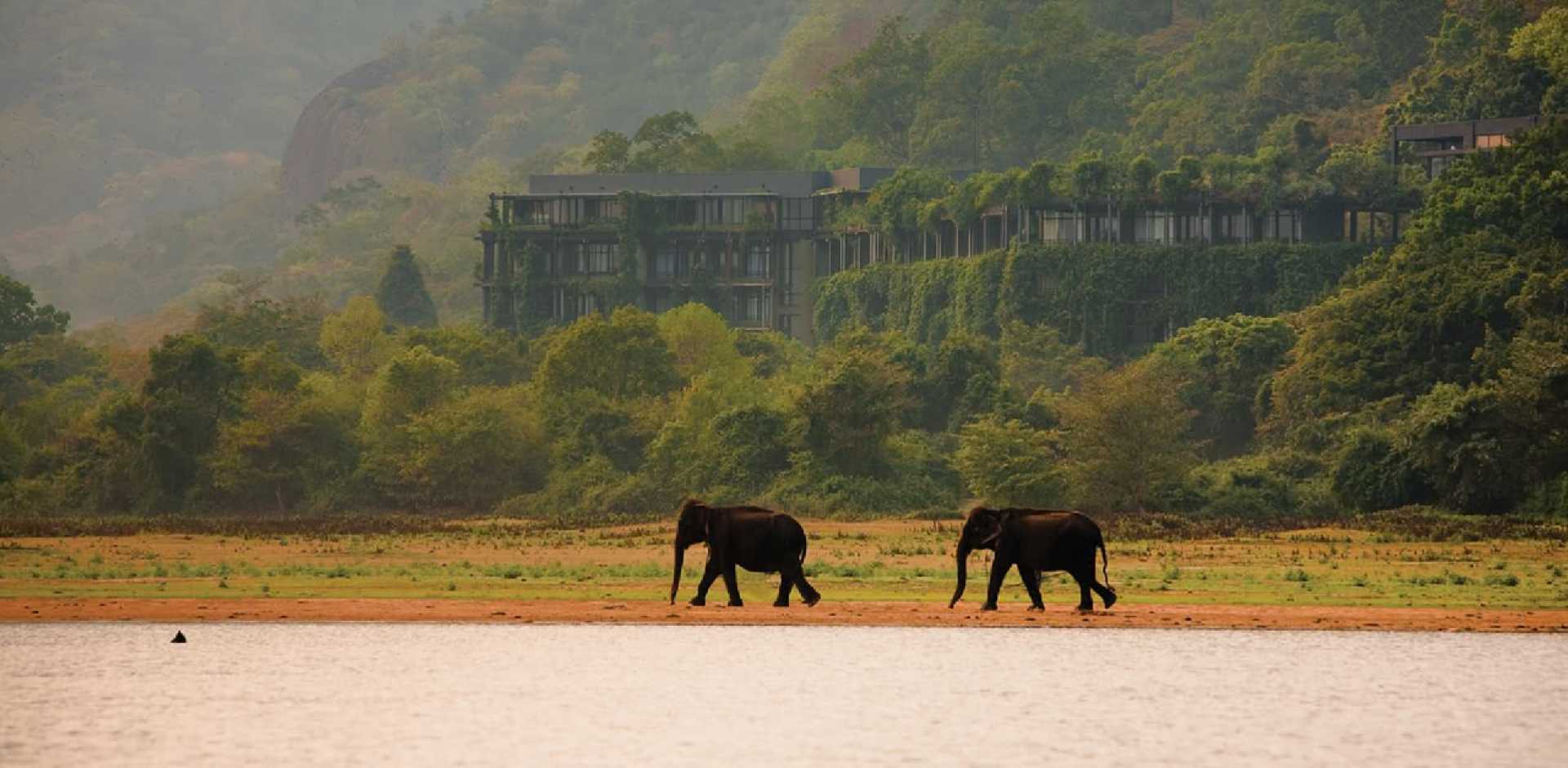 Sigiriya