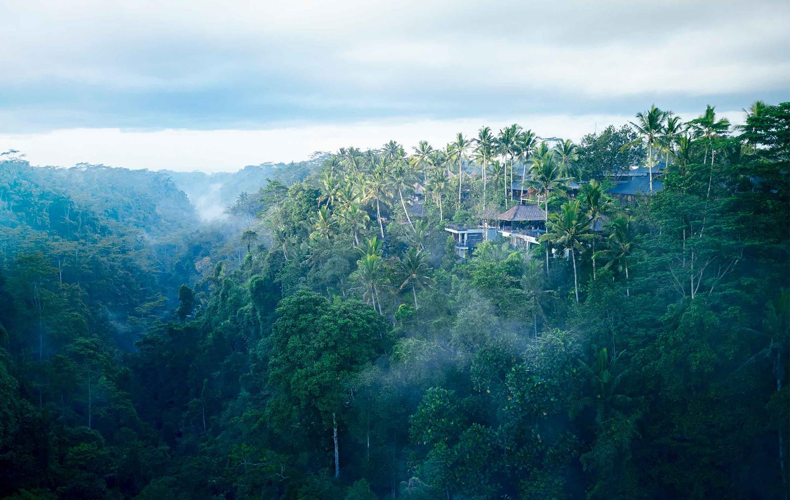 Hoshinoya Bali en Ubud