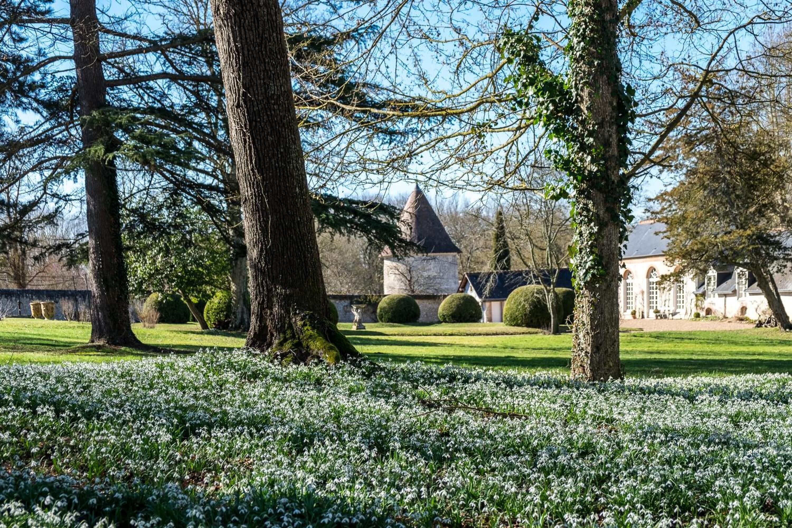 Château Des Grotteaux en Blois