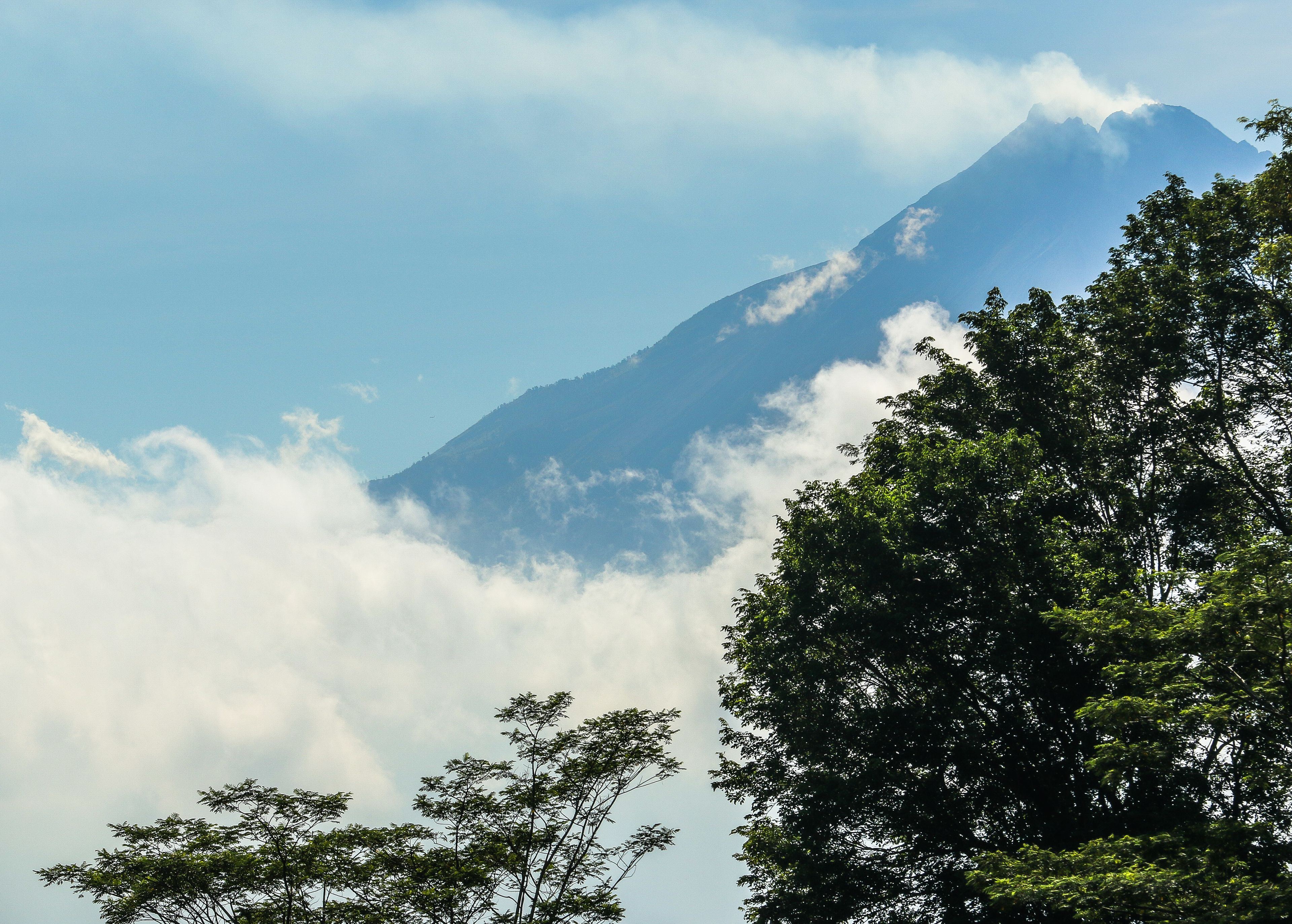 Villa Borobudur Resort en Borobudur