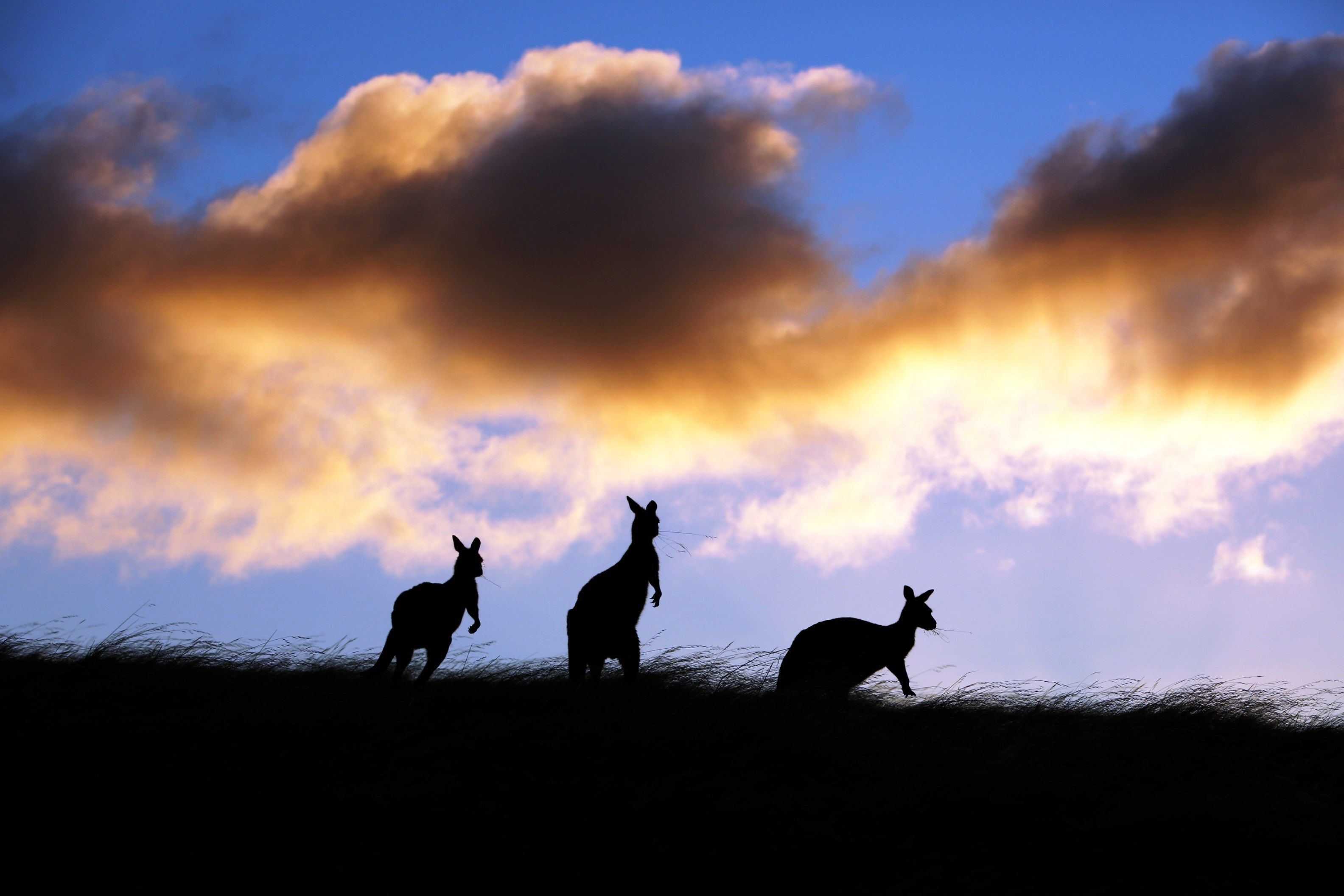 LifeTime Private Retreats en Kangaroo Island