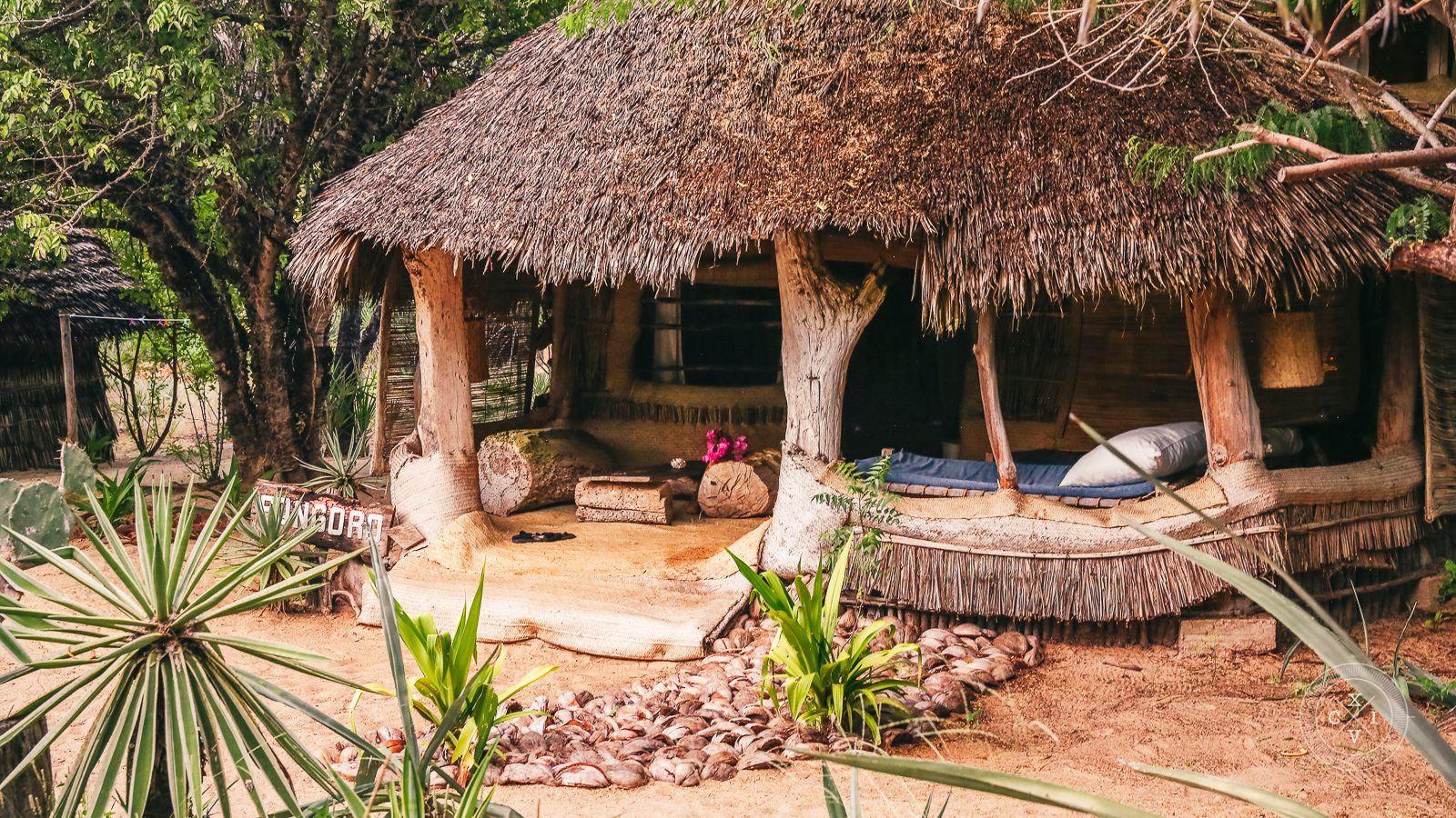 Che Sale en Kenia