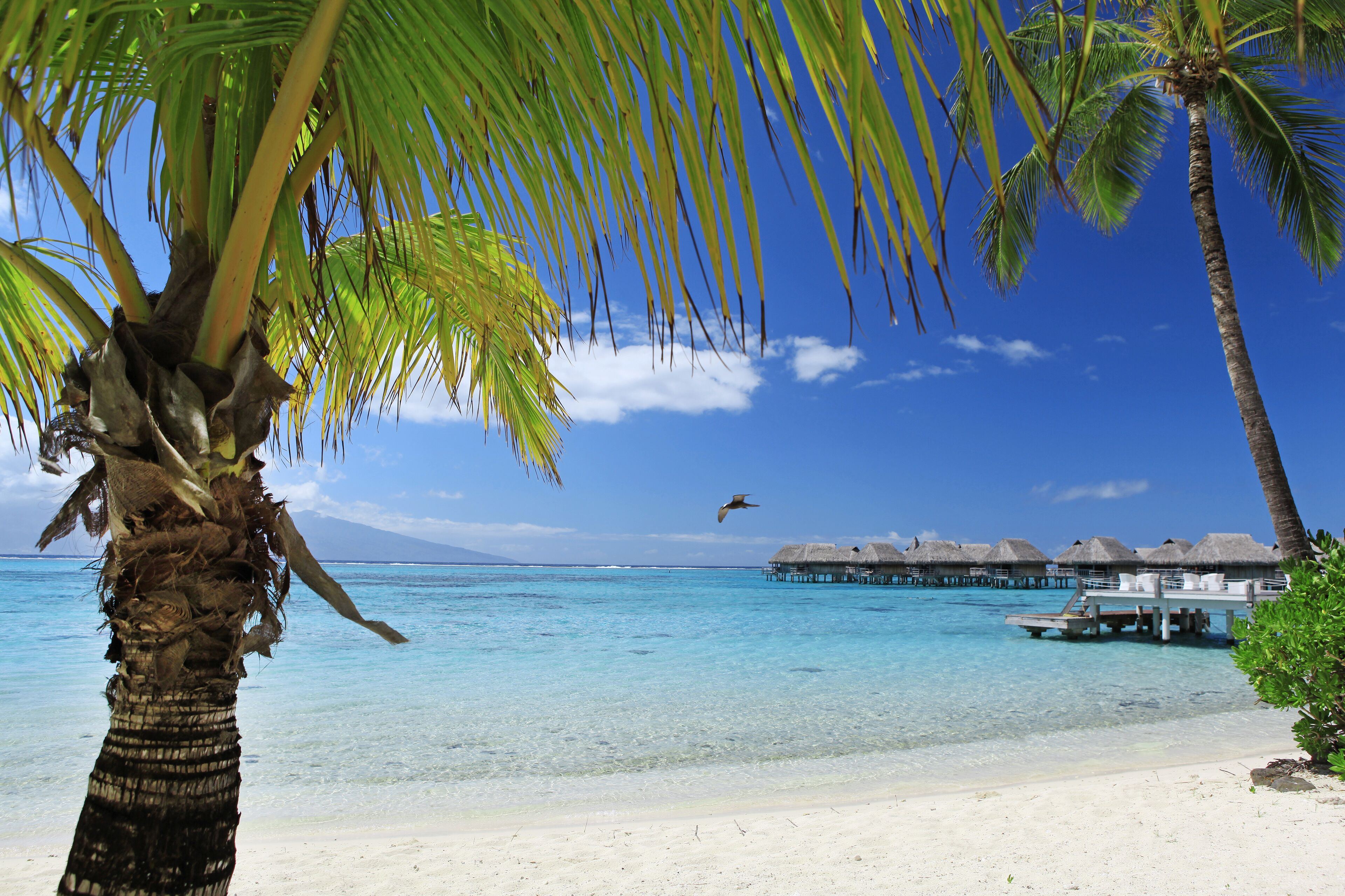 Sofitel Kia Ora Moorea Beach Resort en Moorea