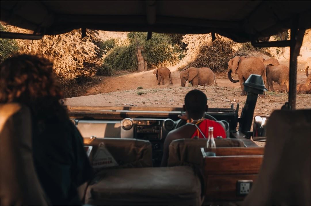 Elephant Bedroom Camp en Samburu