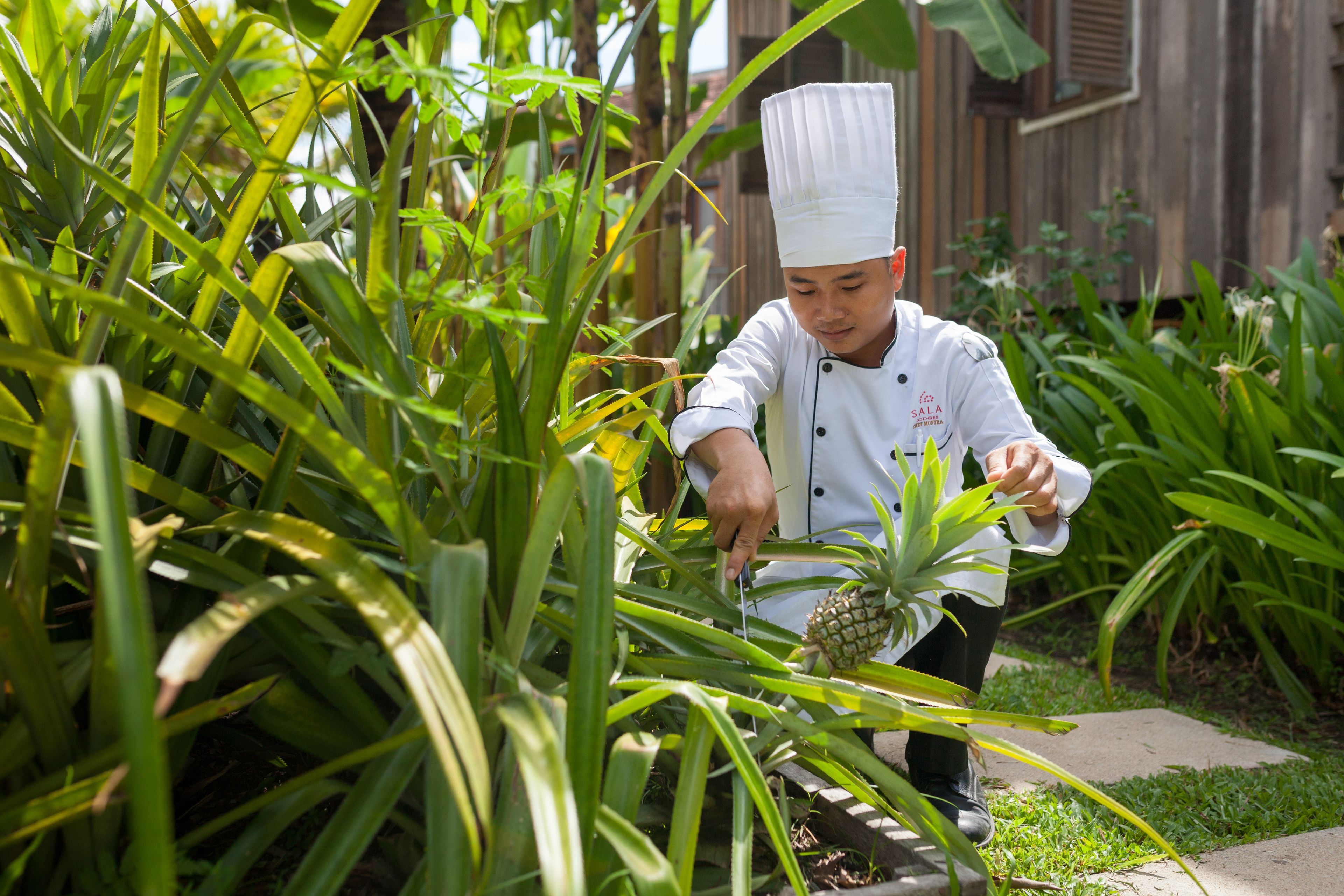 Sala Lodges en Siem Reap