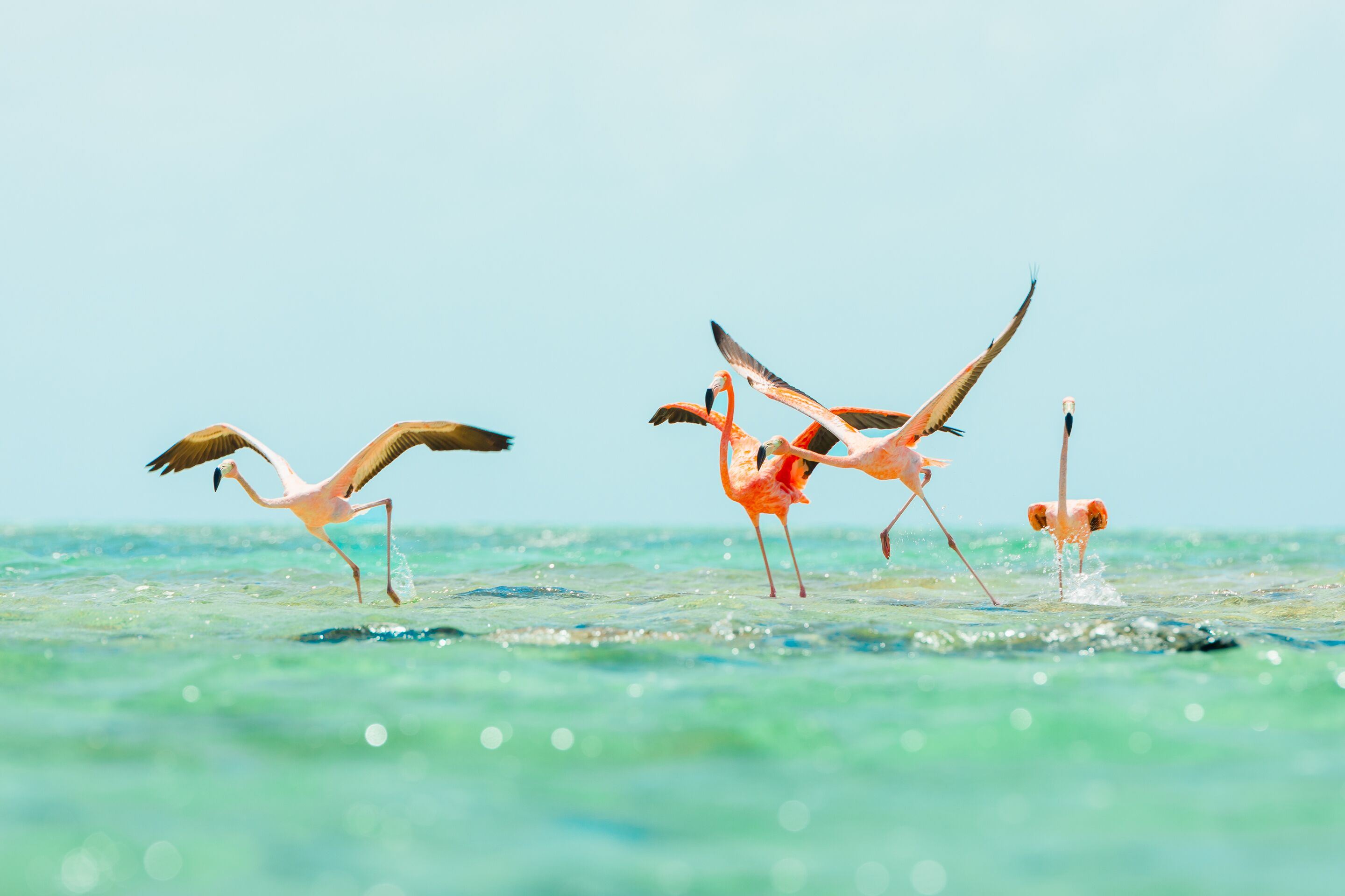 Ambergris Cay - All Inclusive en Ambergris Cay