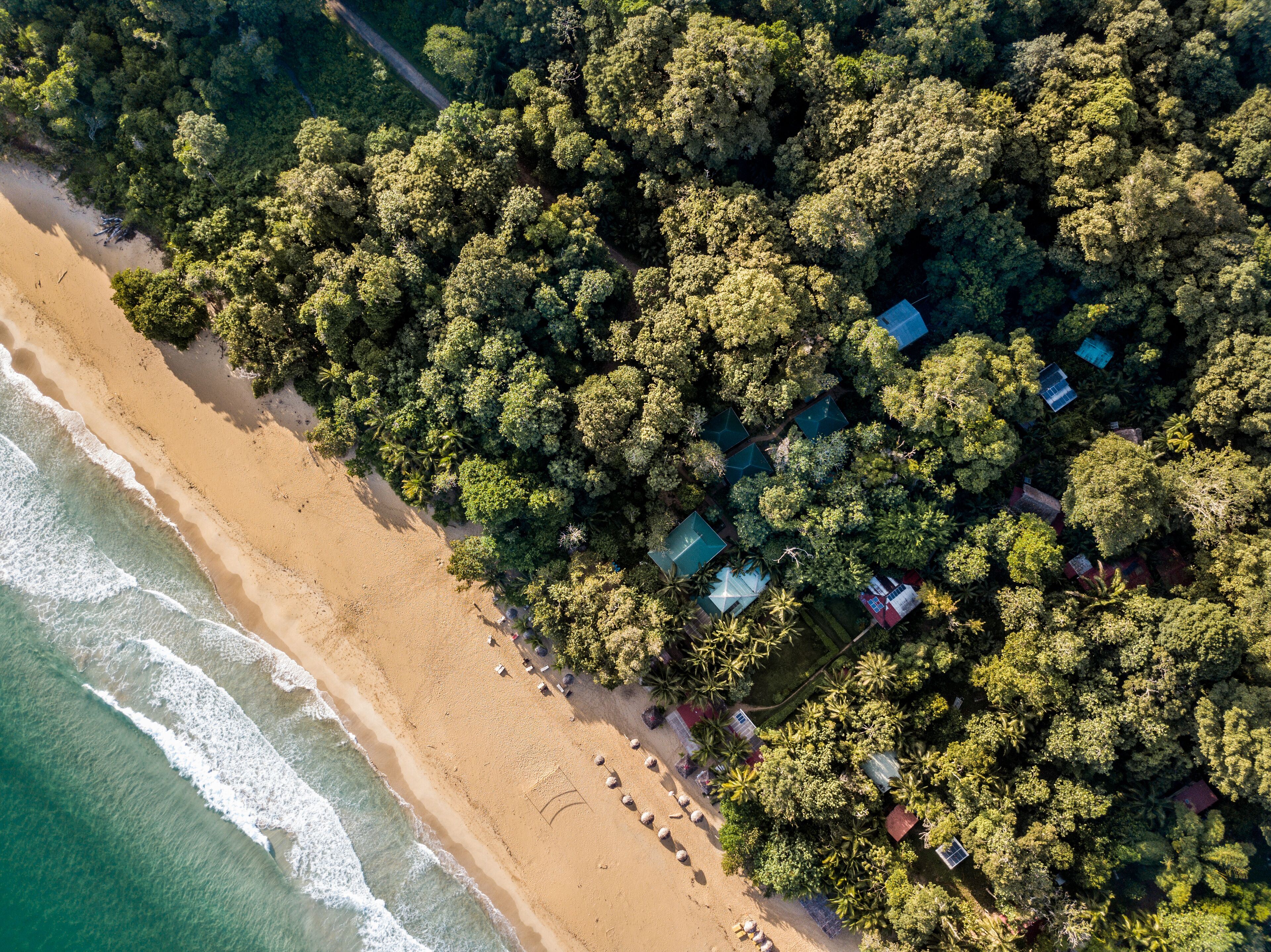 Palmar Beach Lodge en Bocas del Toro