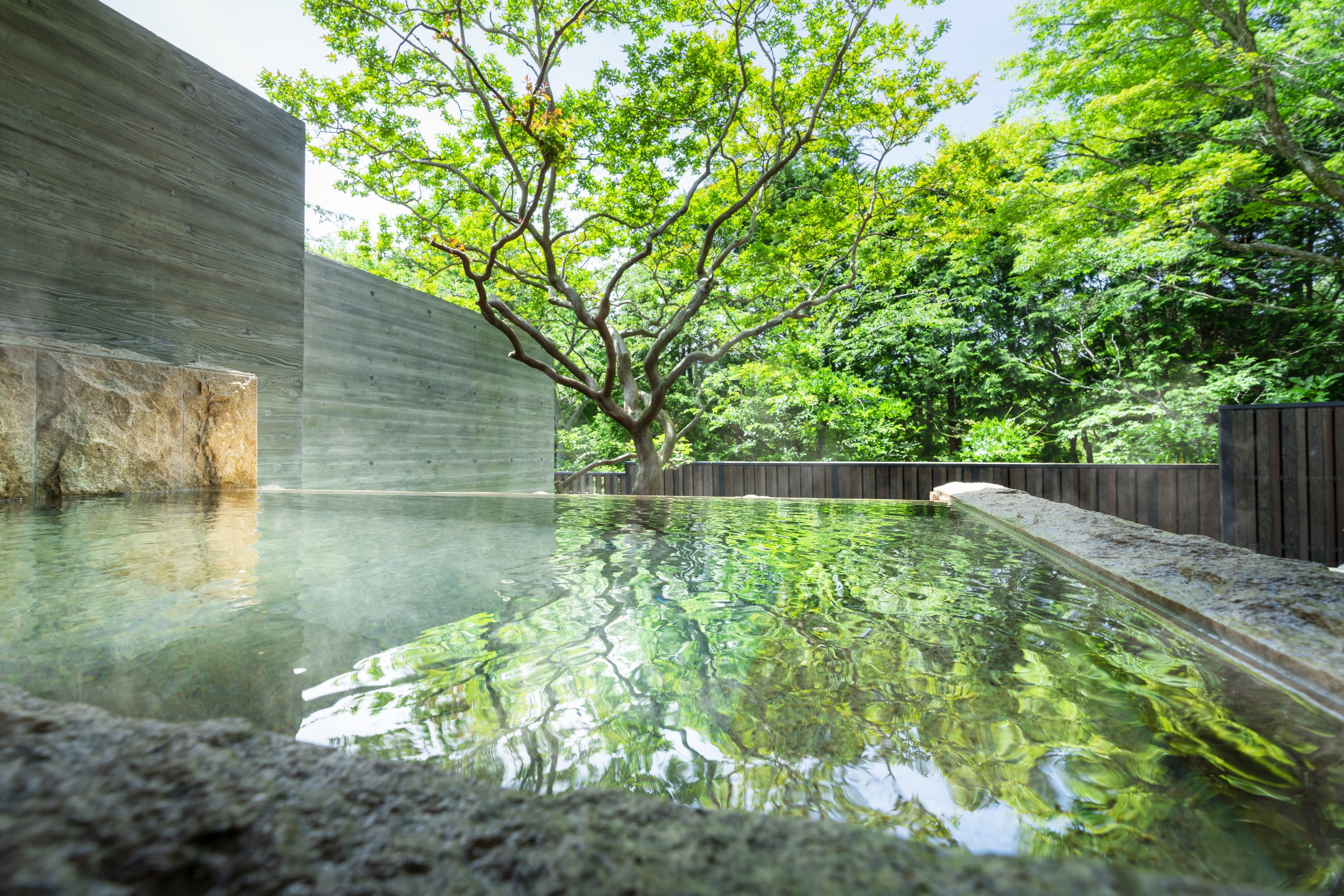 Hoshino Resorts KAI Sengokuhara en Hakone