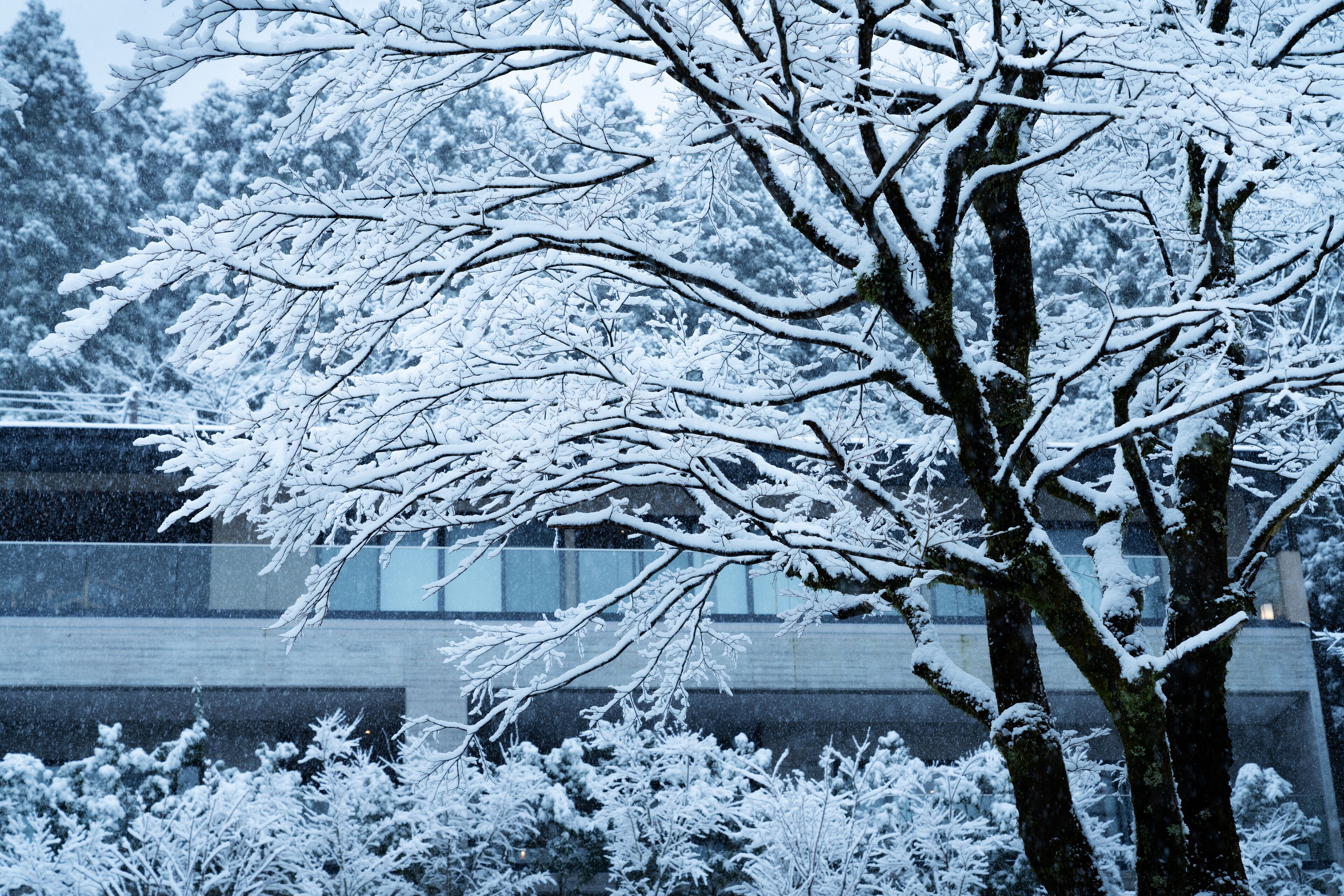 Hoshino Resorts KAI Sengokuhara en Hakone
