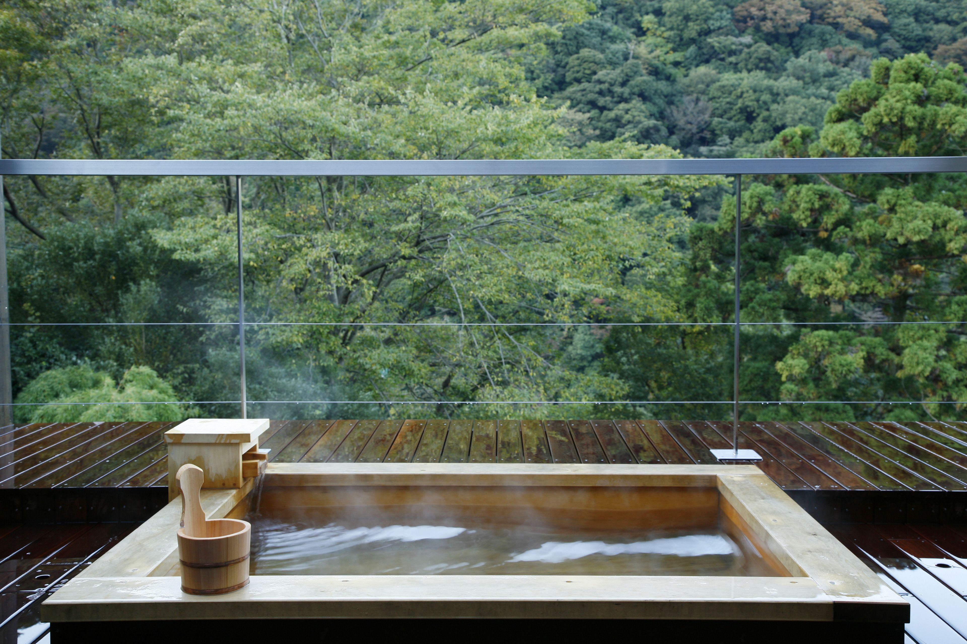 Seikanso en Hakone