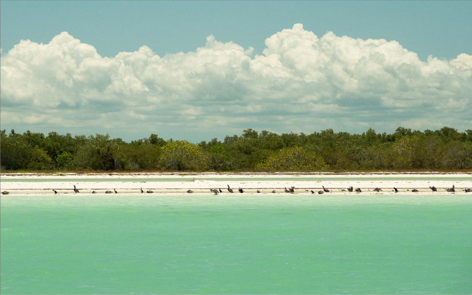Nomade Holbox en Holbox