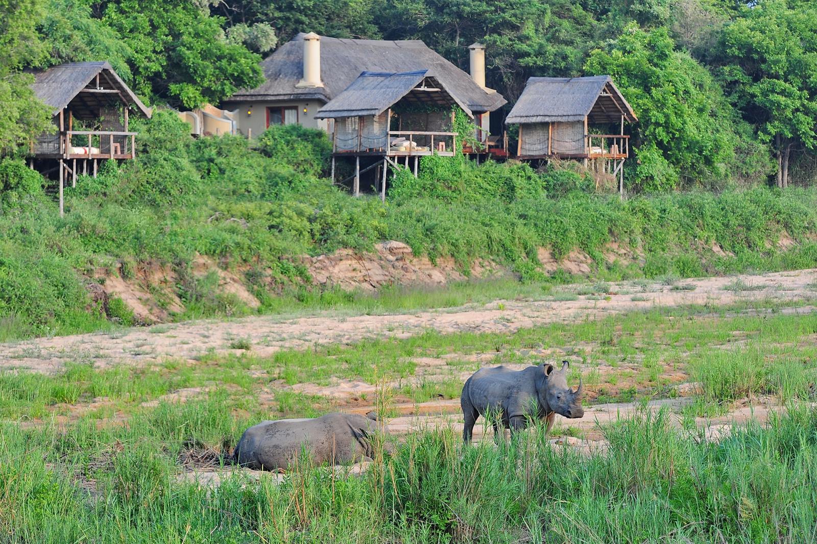 Jock Safari Lodge en su destino