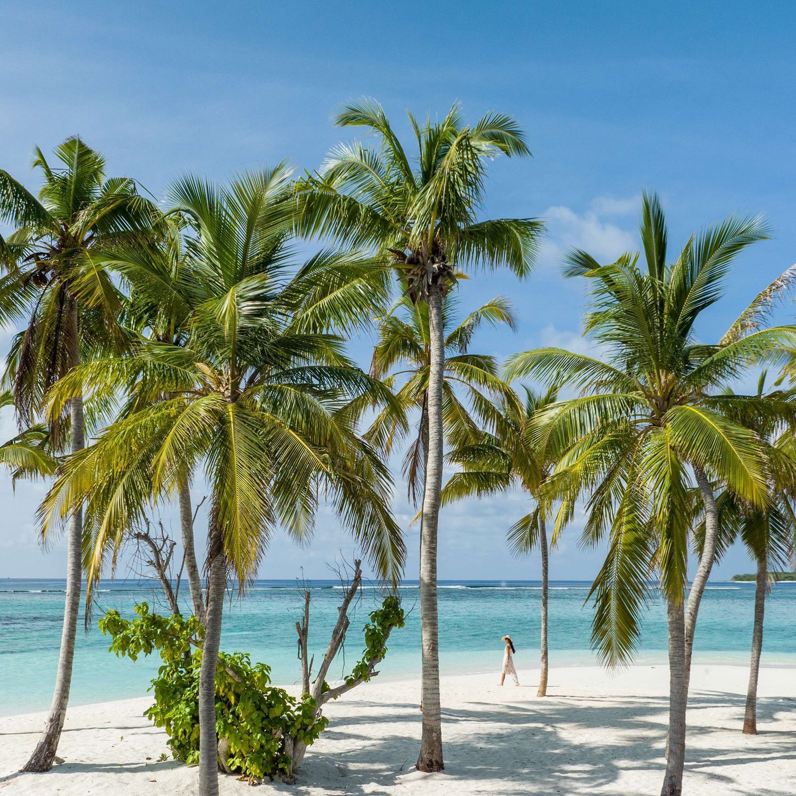 Alila Kothaifaru Maldives en Maldivas