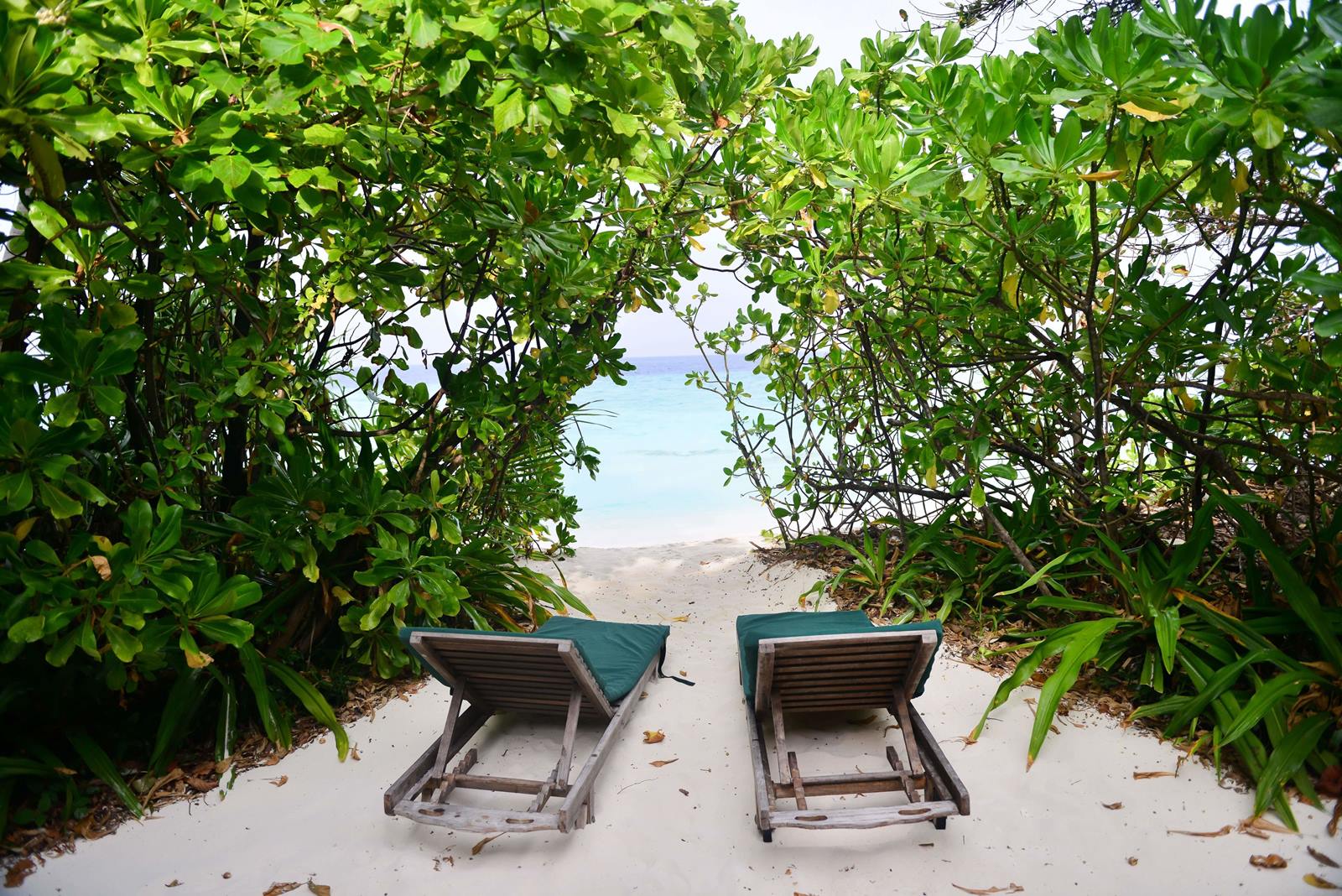 Coco Palm Dhuni Kolhu en Maldivas