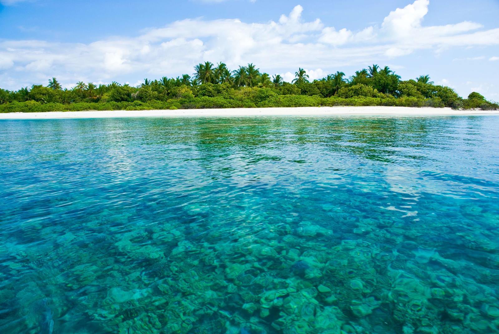Coco Palm Dhuni Kolhu en Maldivas