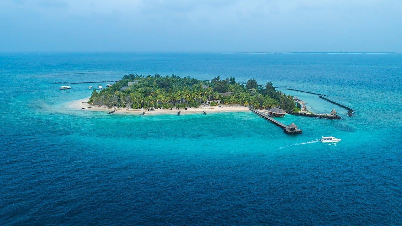 TAJ Coral Reef en Maldivas