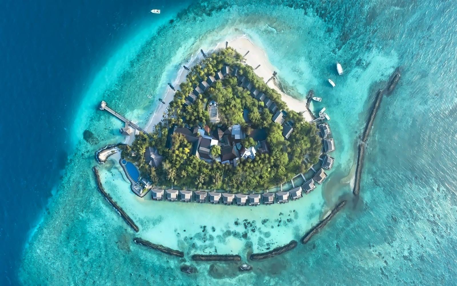 TAJ Coral Reef en Maldivas