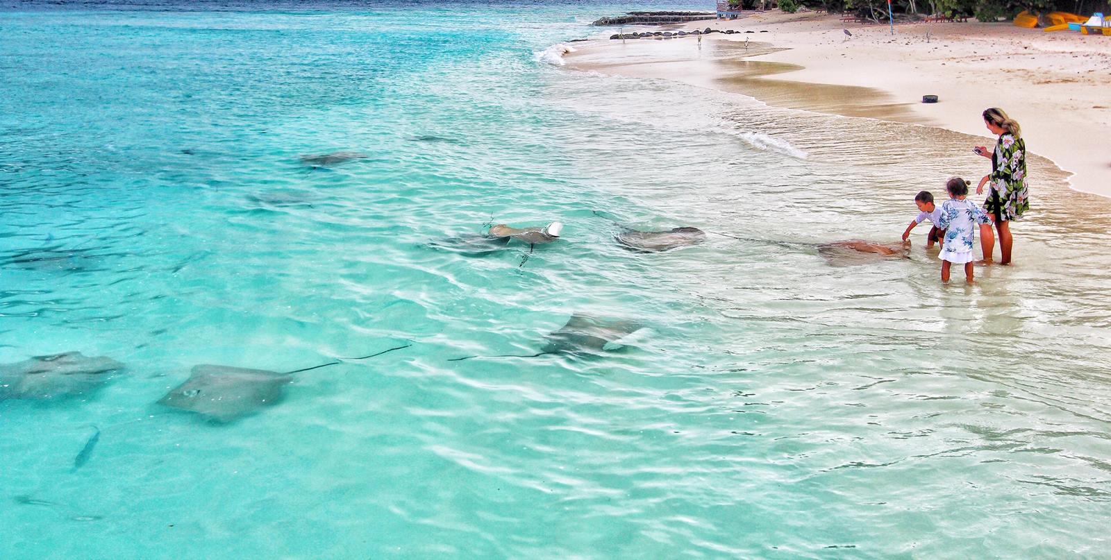 TAJ Coral Reef en Maldivas