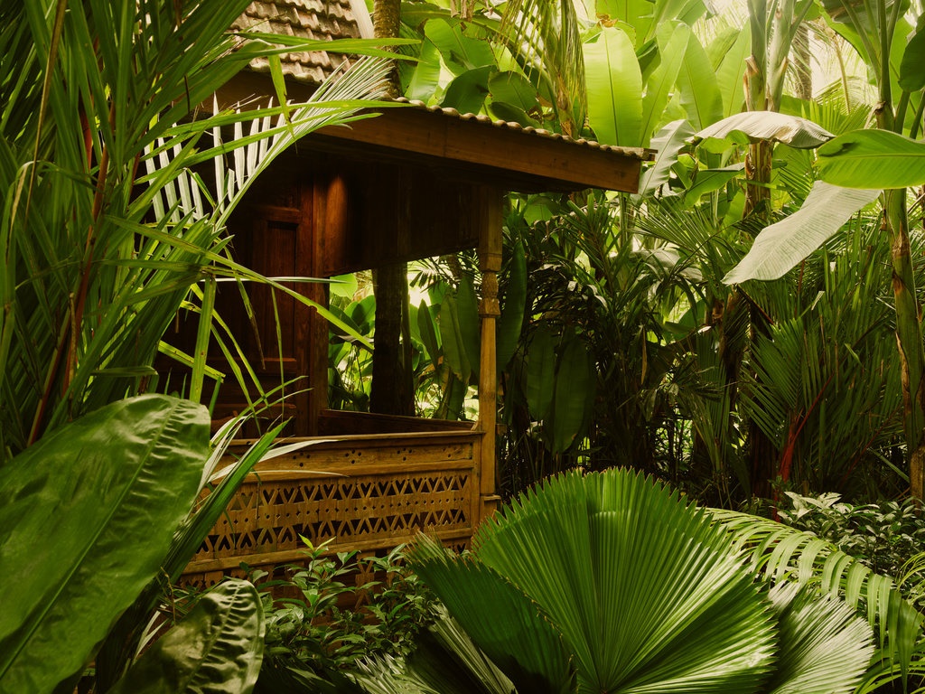 Lost Lindenberg en Canggu