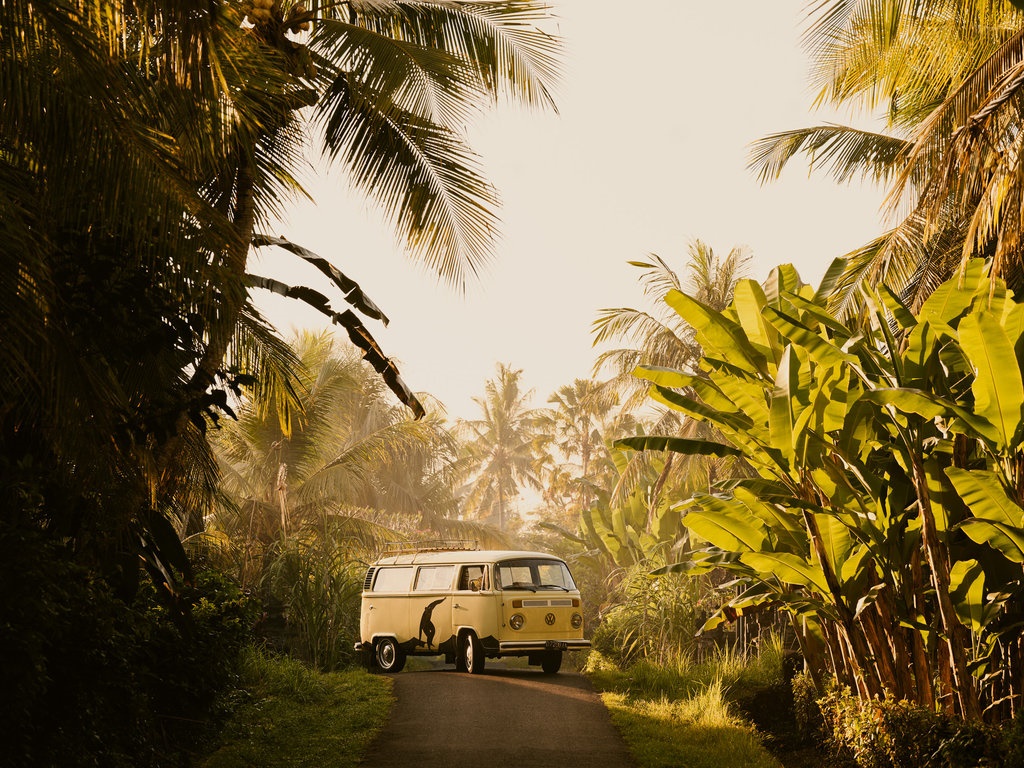Lost Lindenberg en Canggu