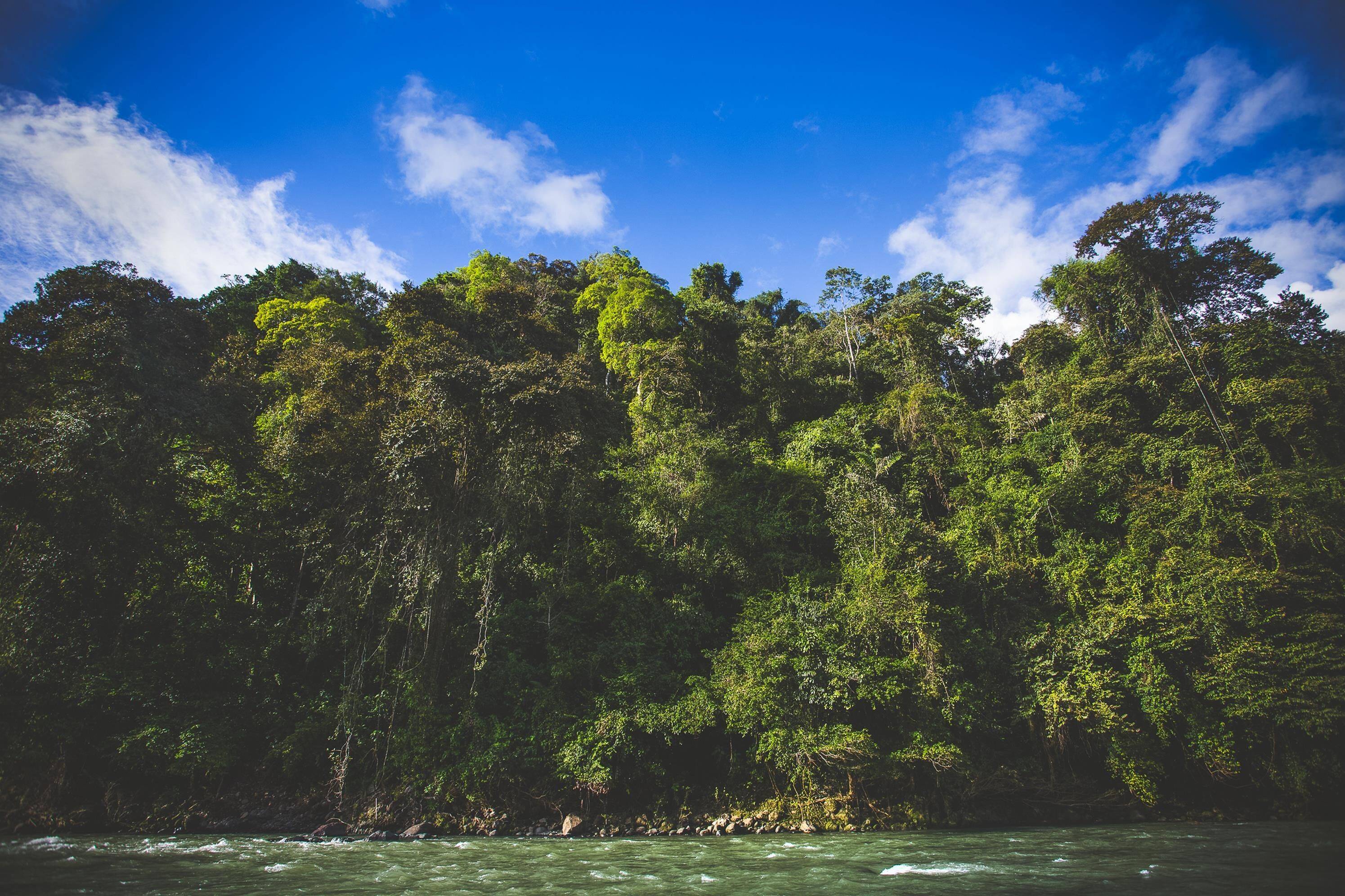 Pacuare Lodge by Böëna en Rio Pacuare