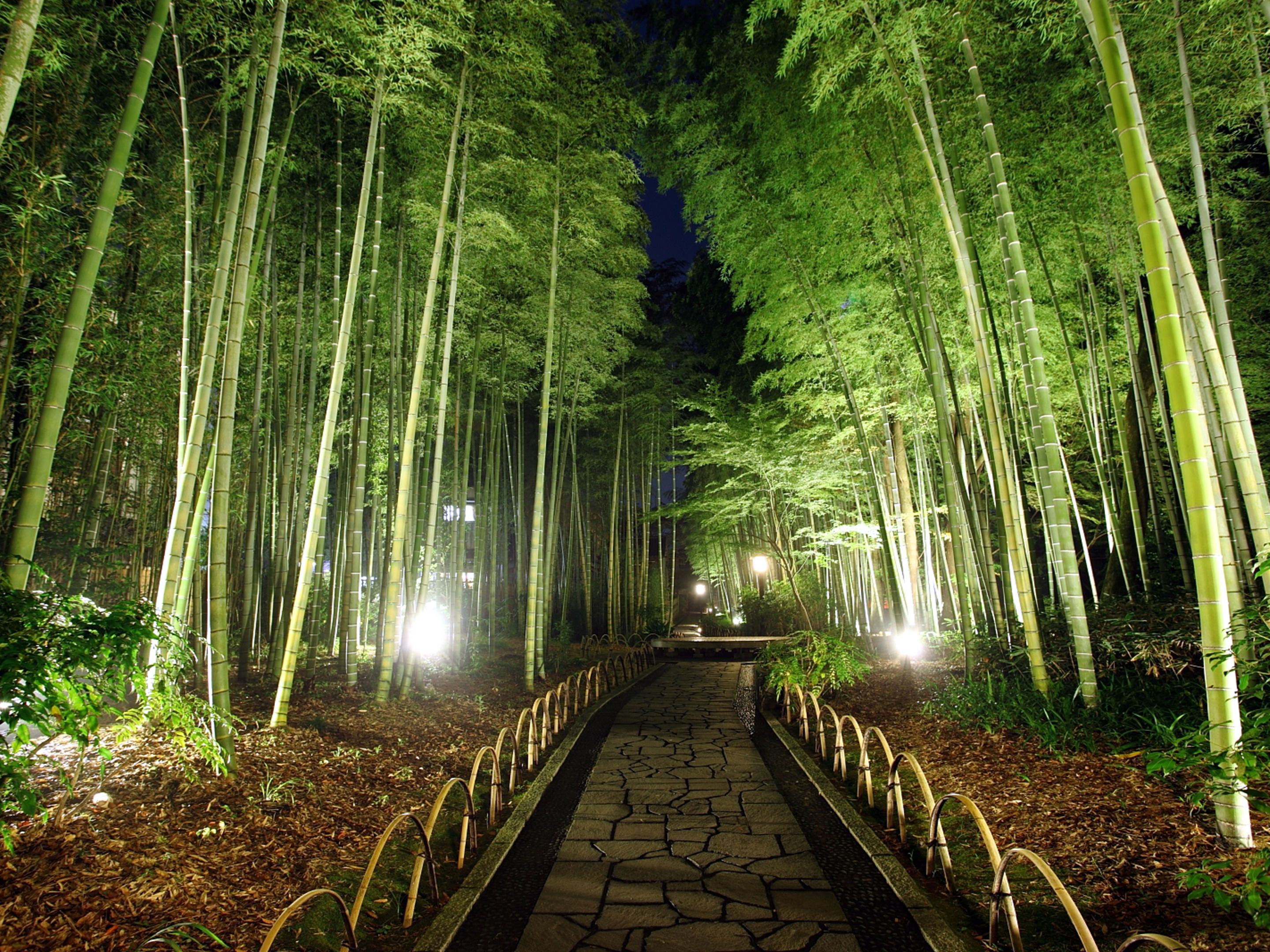 Asaba Ryokan en Japan