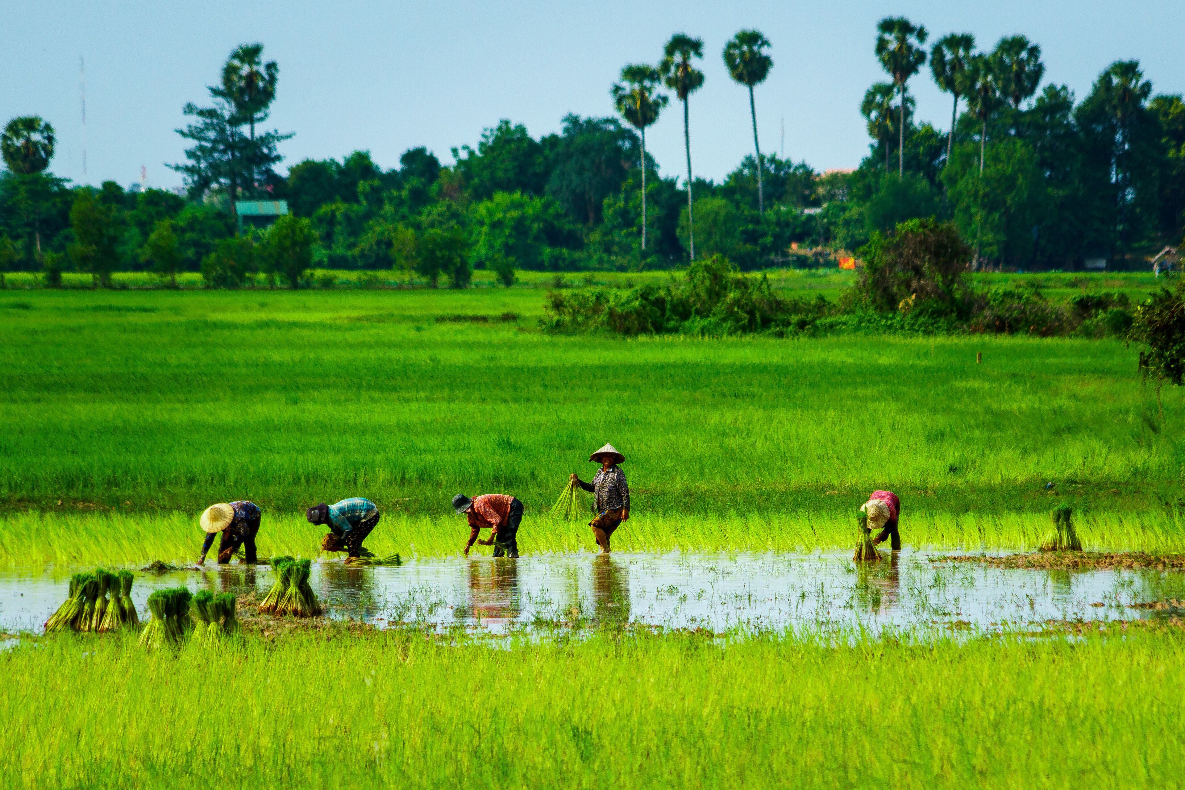 Siem Reap