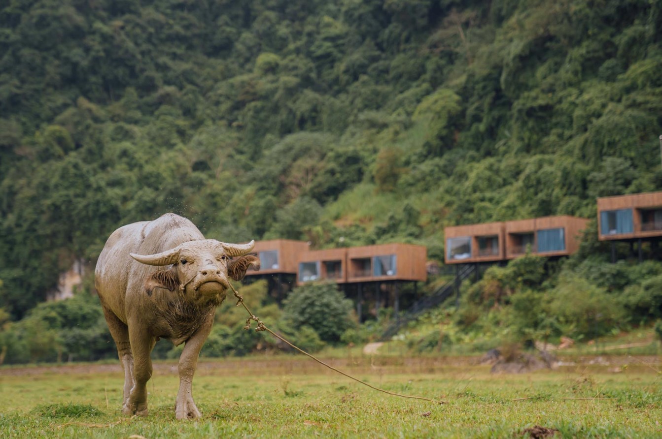 Tu Lan Lodge en Son Doong