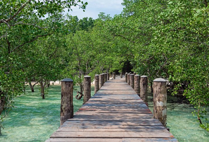 Wa Ale Resort en Mergui