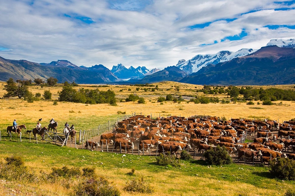 Estancia Nibepo Aike