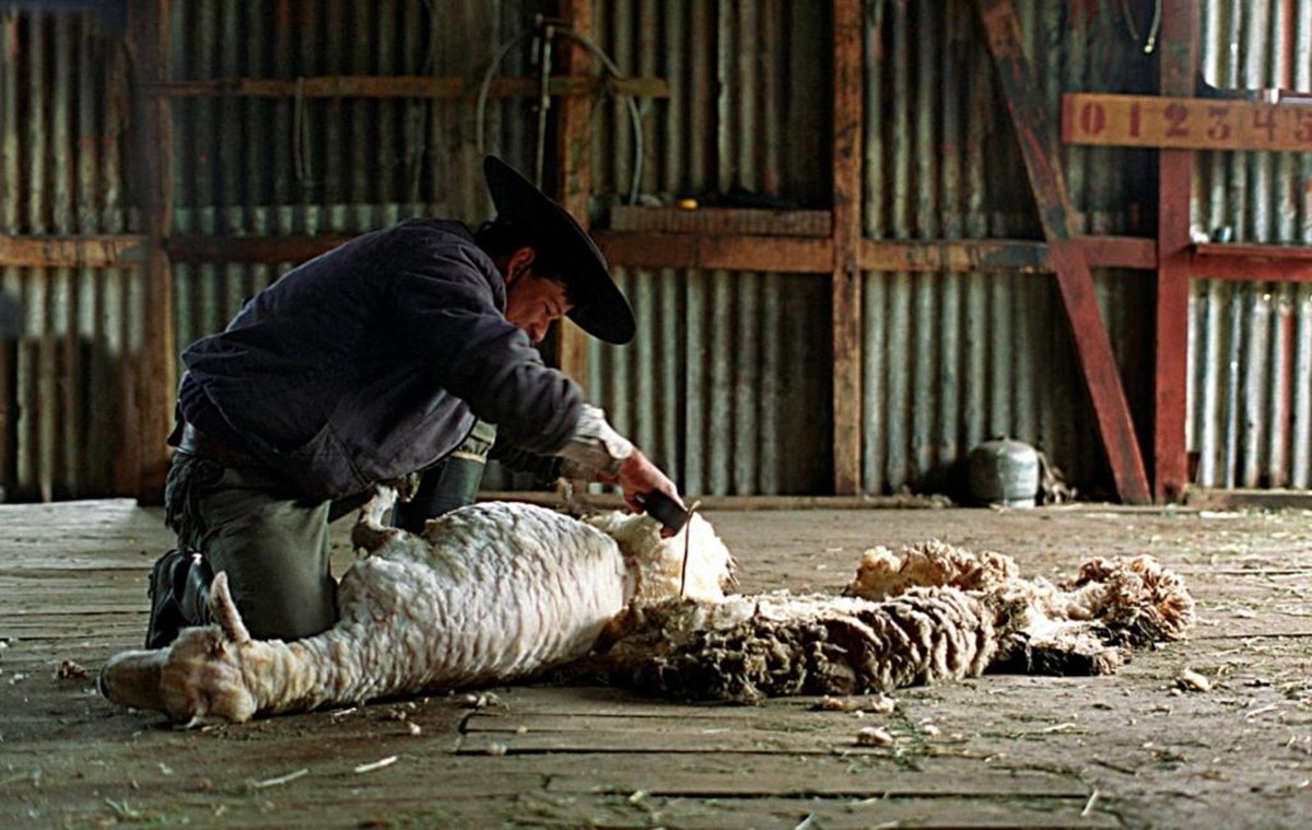 Estancia Nibepo Aike