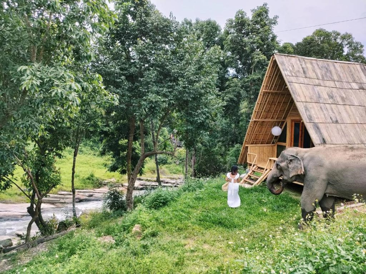The Chai Lai Orchid  en Chiang Mai