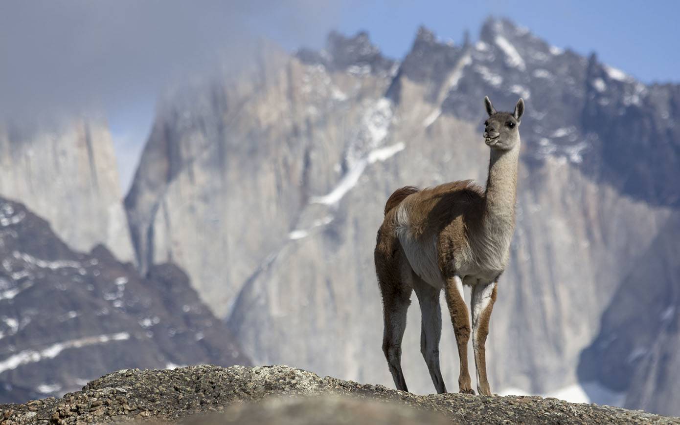 Las Torres Patagonia en Torres del Paine