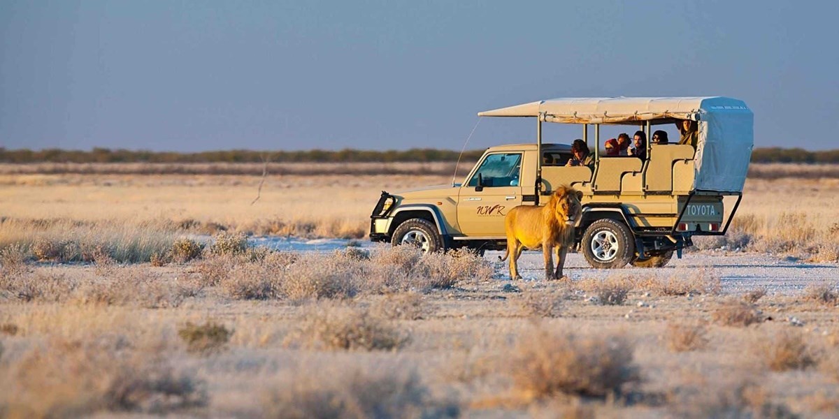 Etosha Parque Nacional 