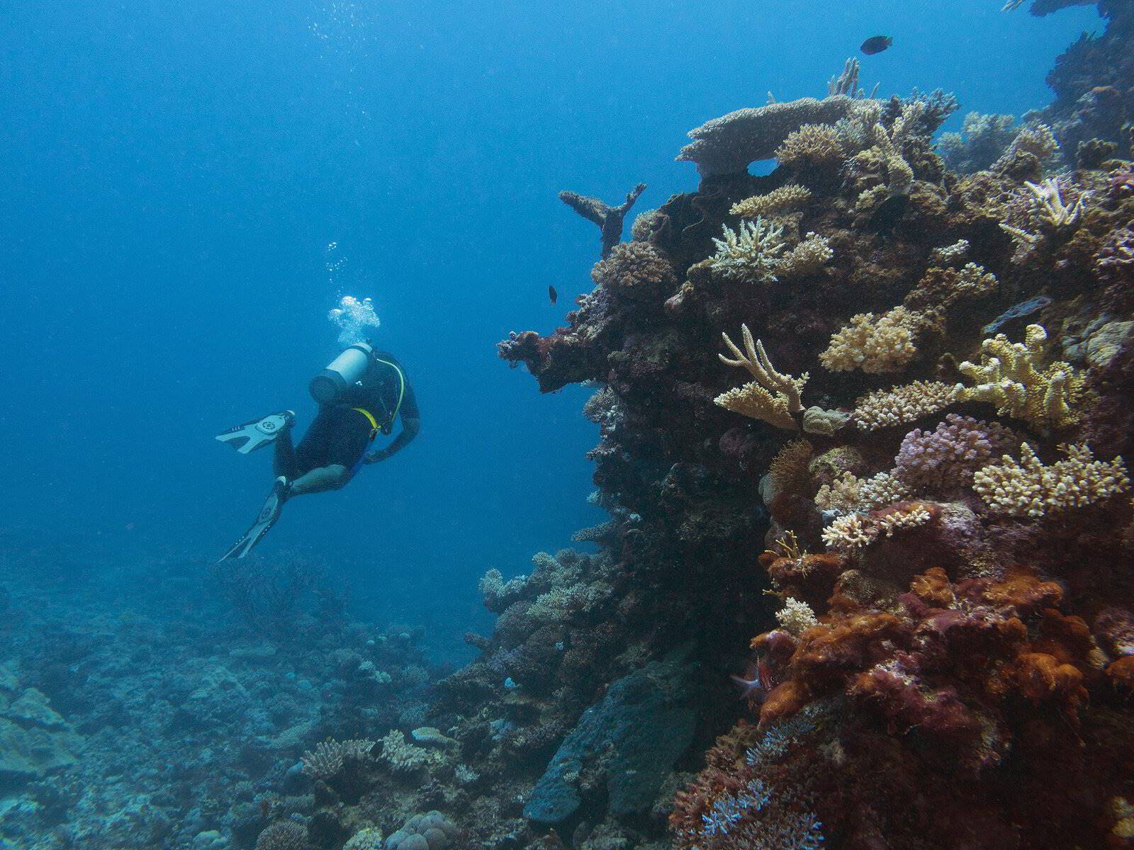 Oneta Resort en Fiji