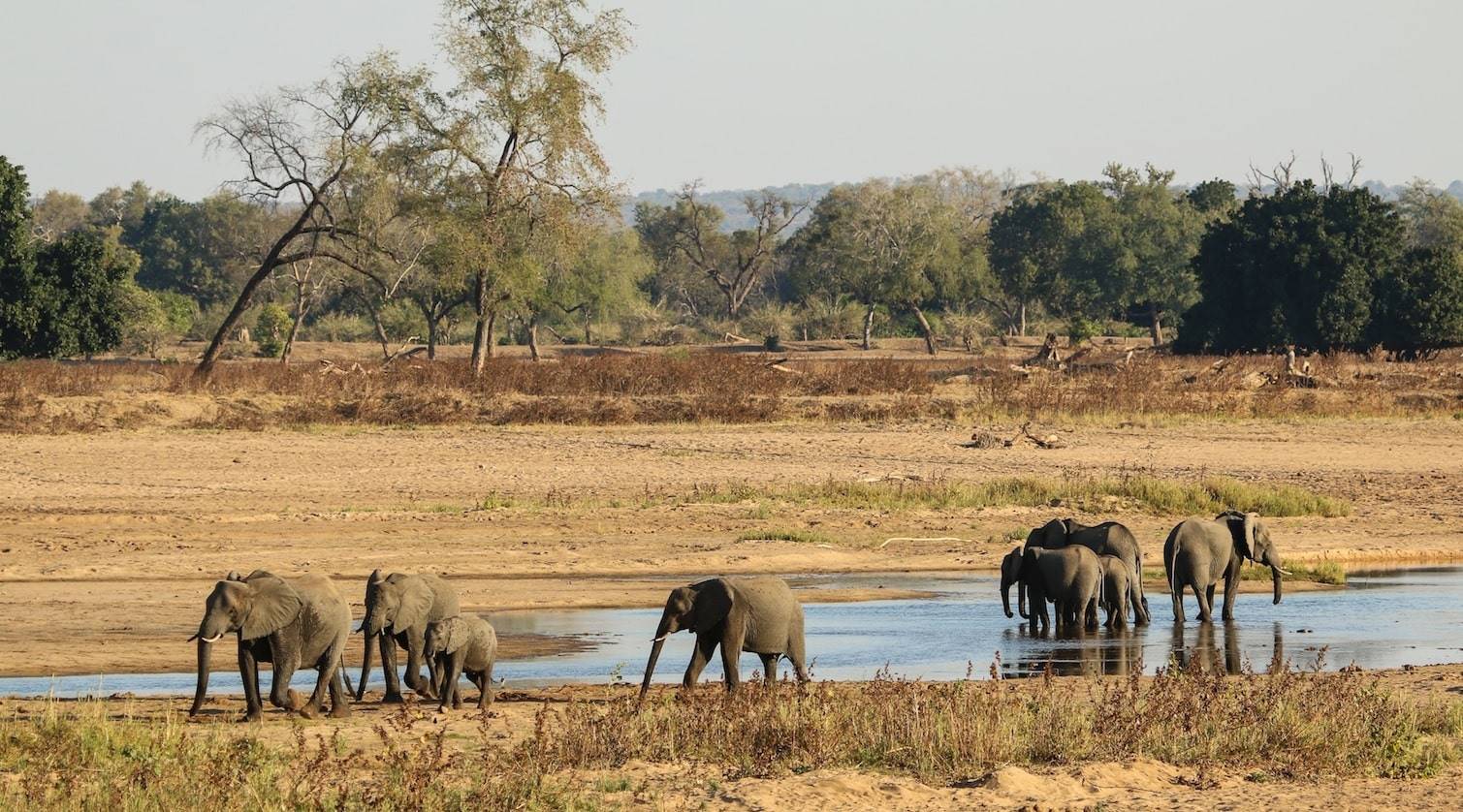 Chilo Tented Camp en Mahove