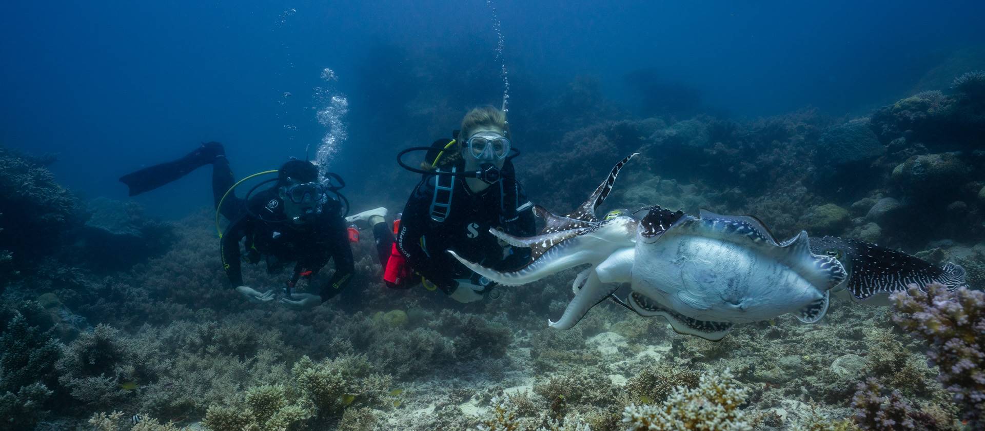 Experiencia de Buceo en Barco