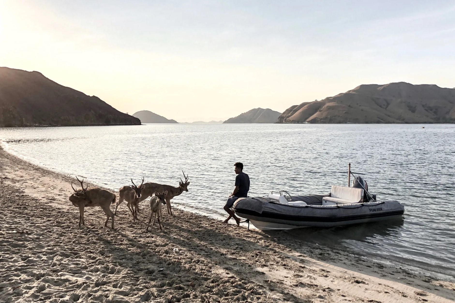 Private Charter Splendour en Komodo