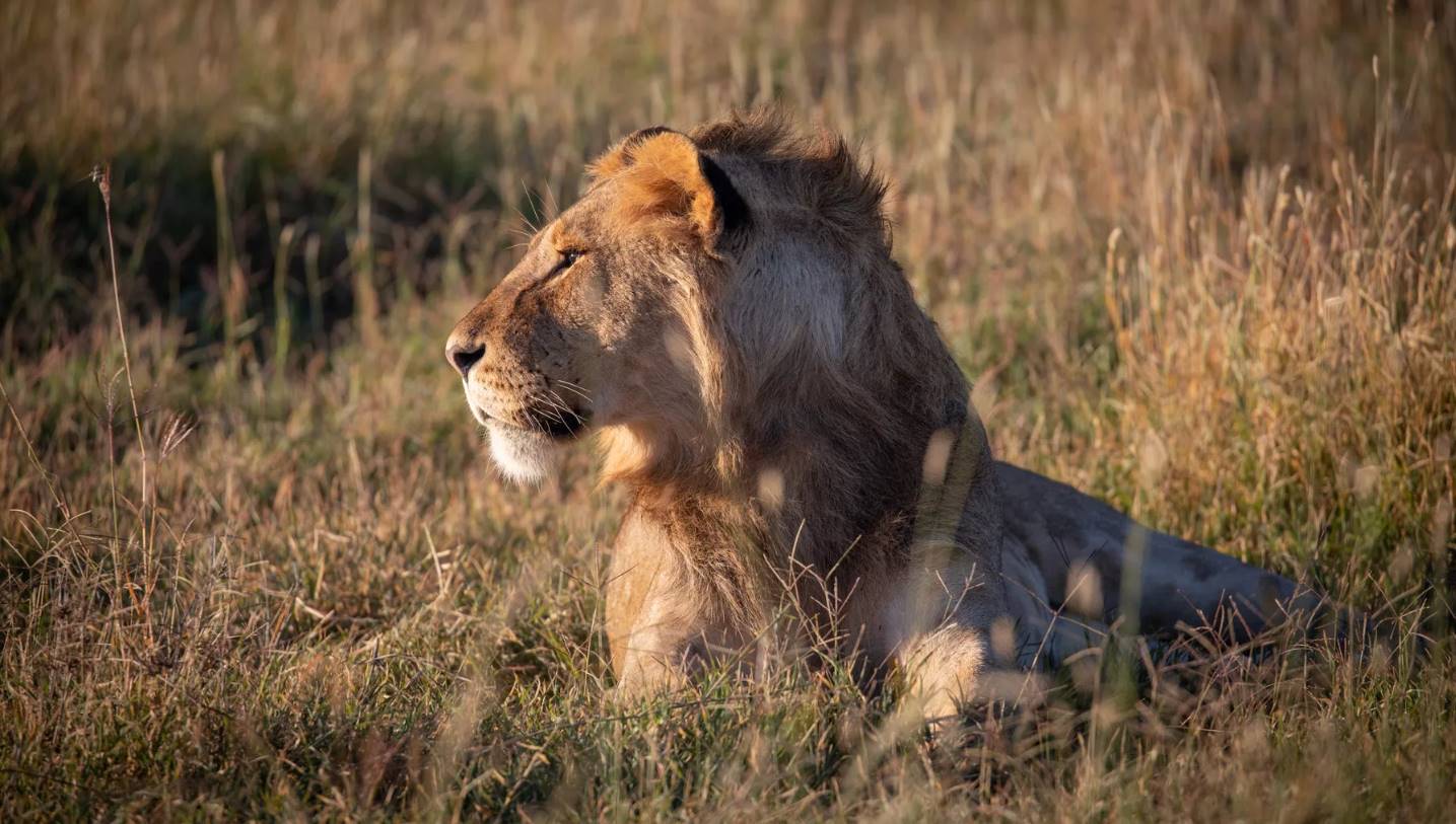 Ekorian's Mugie Camp