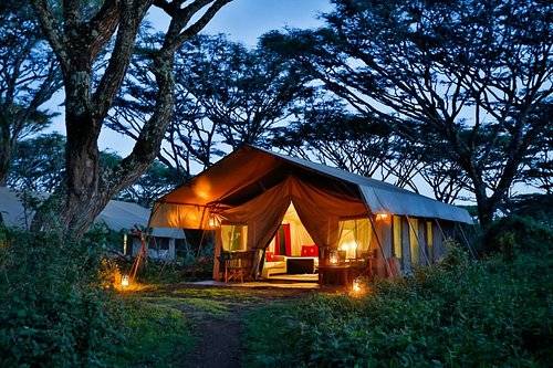 Lemala Ngorongoro Tented Camp 