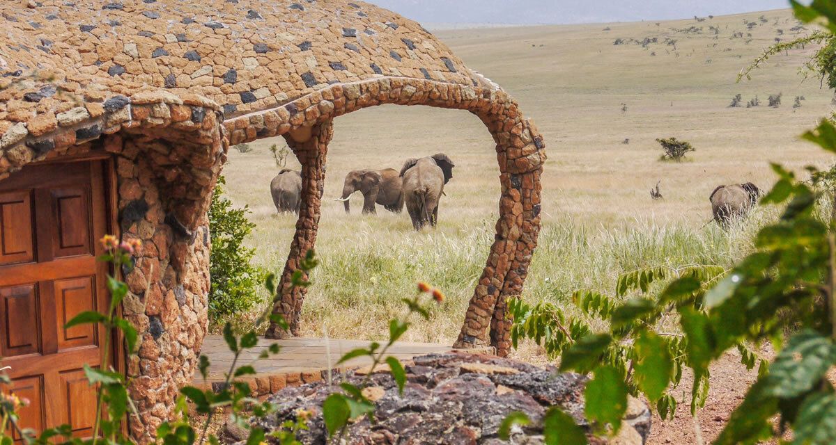 Lewa House en Lewa