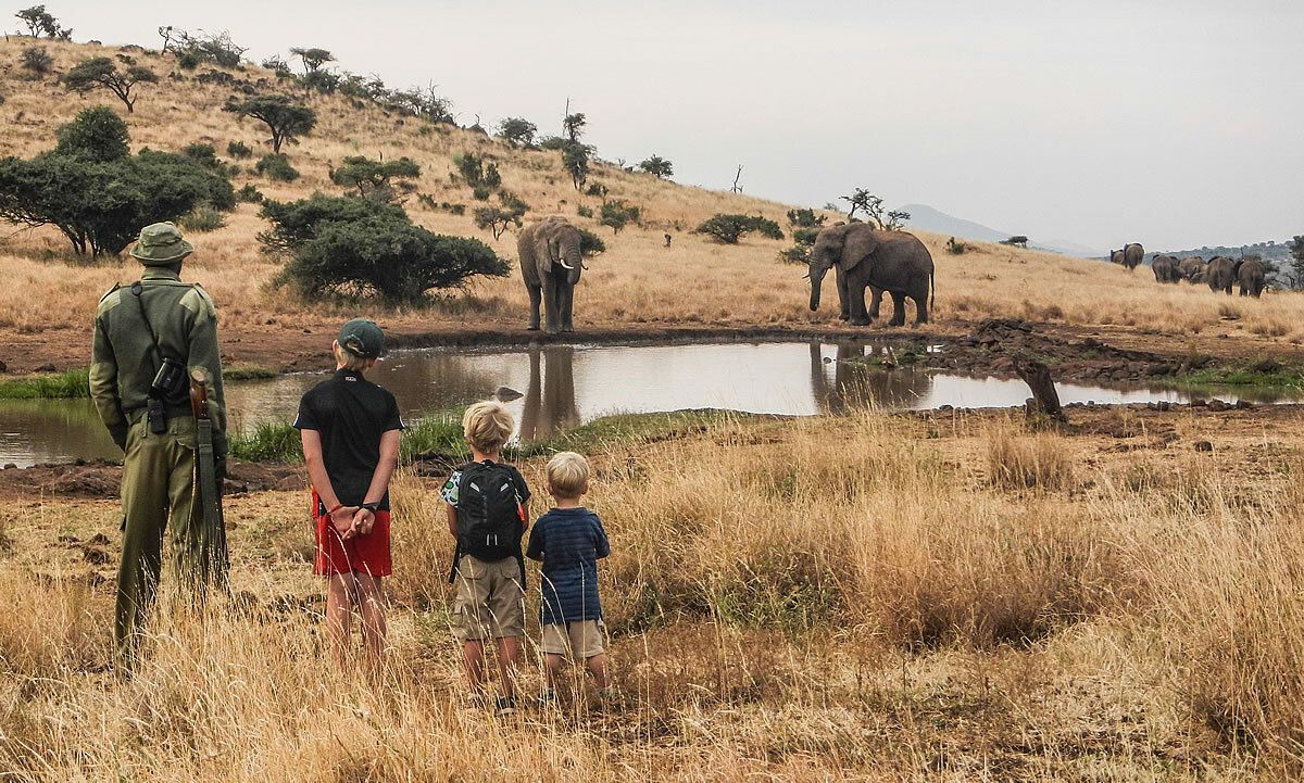 Lewa House en Lewa