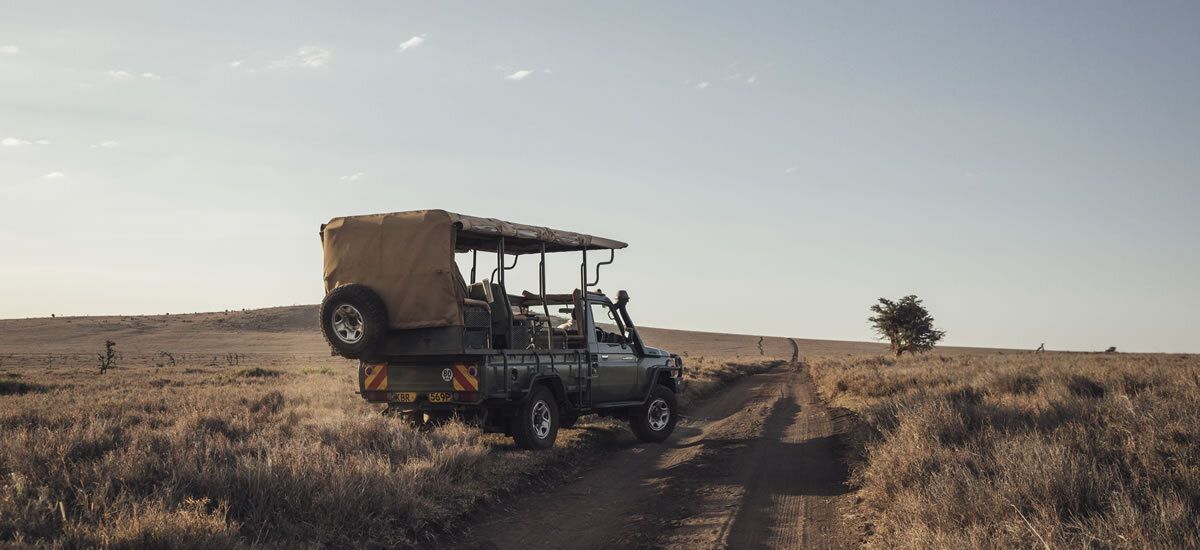 Lewa House en Lewa