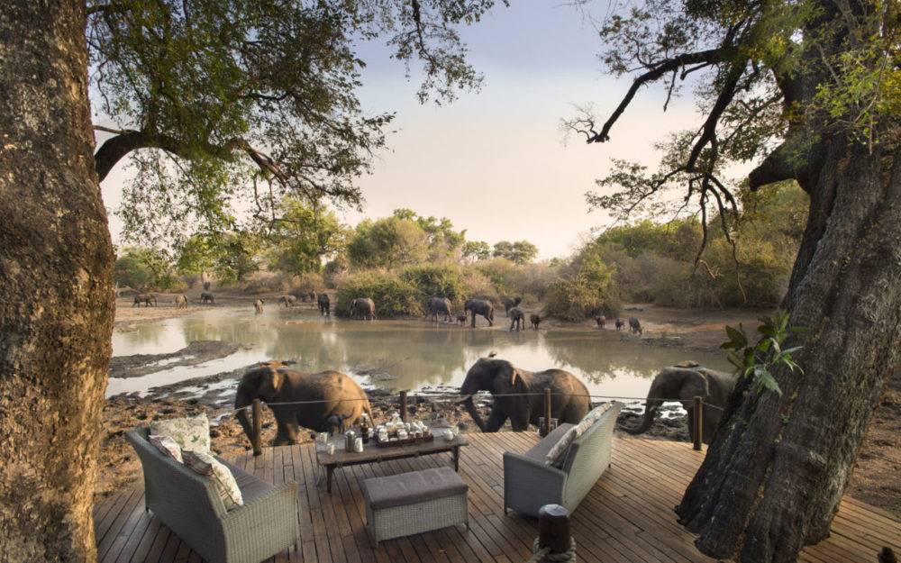 Nyamatusi Camp  en Mana Pools