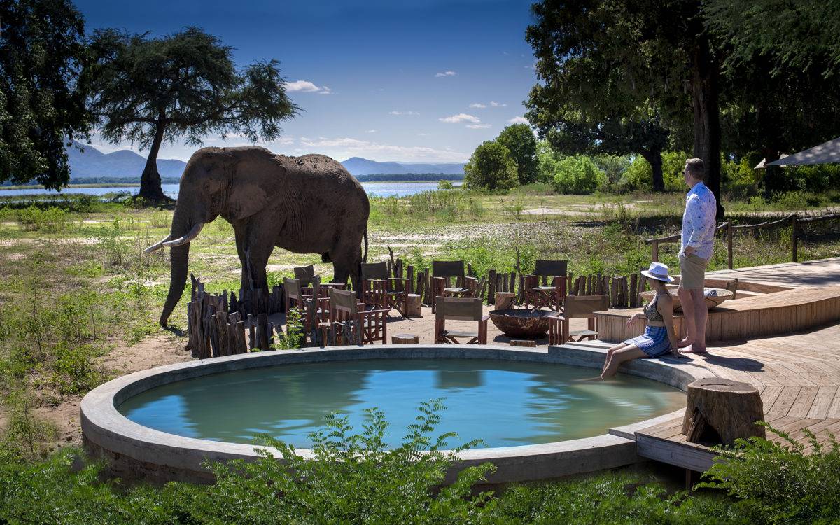 Nyamatusi Camp  en Mana Pools