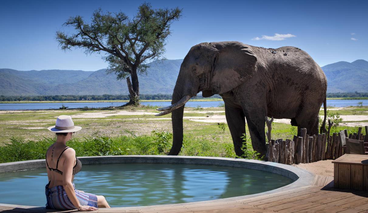 Nyamatusi Camp  en Mana Pools