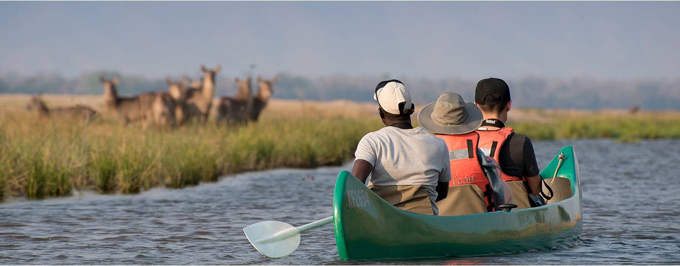 Nyamatusi Camp  en Mana Pools